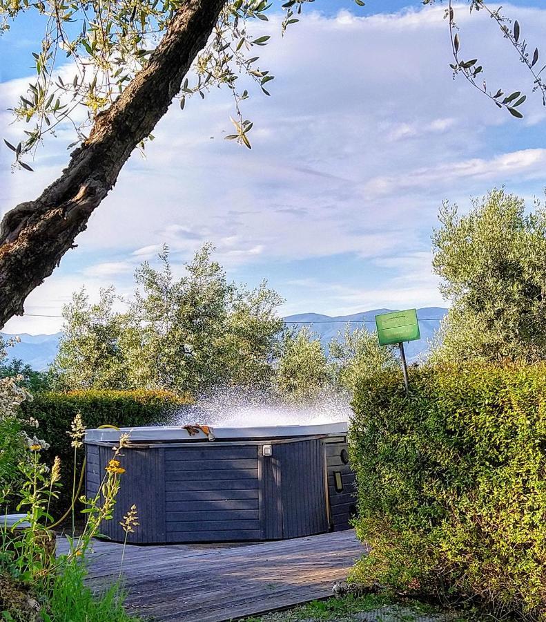 Olivia B&B And Apartment Cantagrillo Bagian luar foto