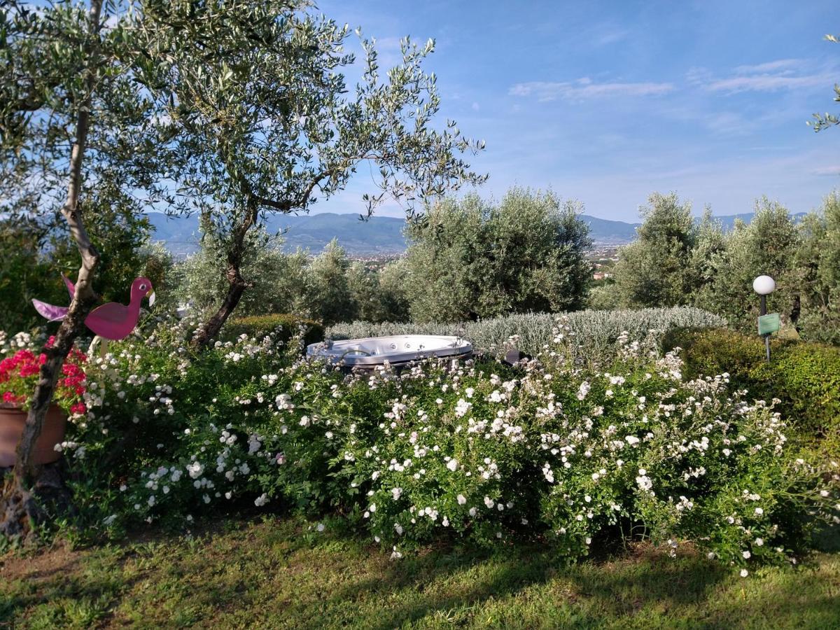 Olivia B&B And Apartment Cantagrillo Bagian luar foto