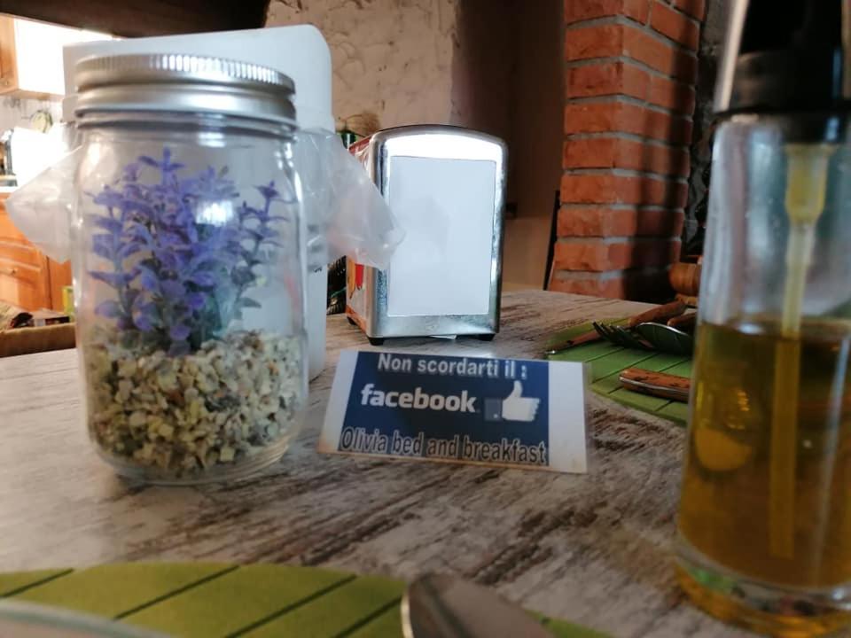 Olivia B&B And Apartment Cantagrillo Bagian luar foto