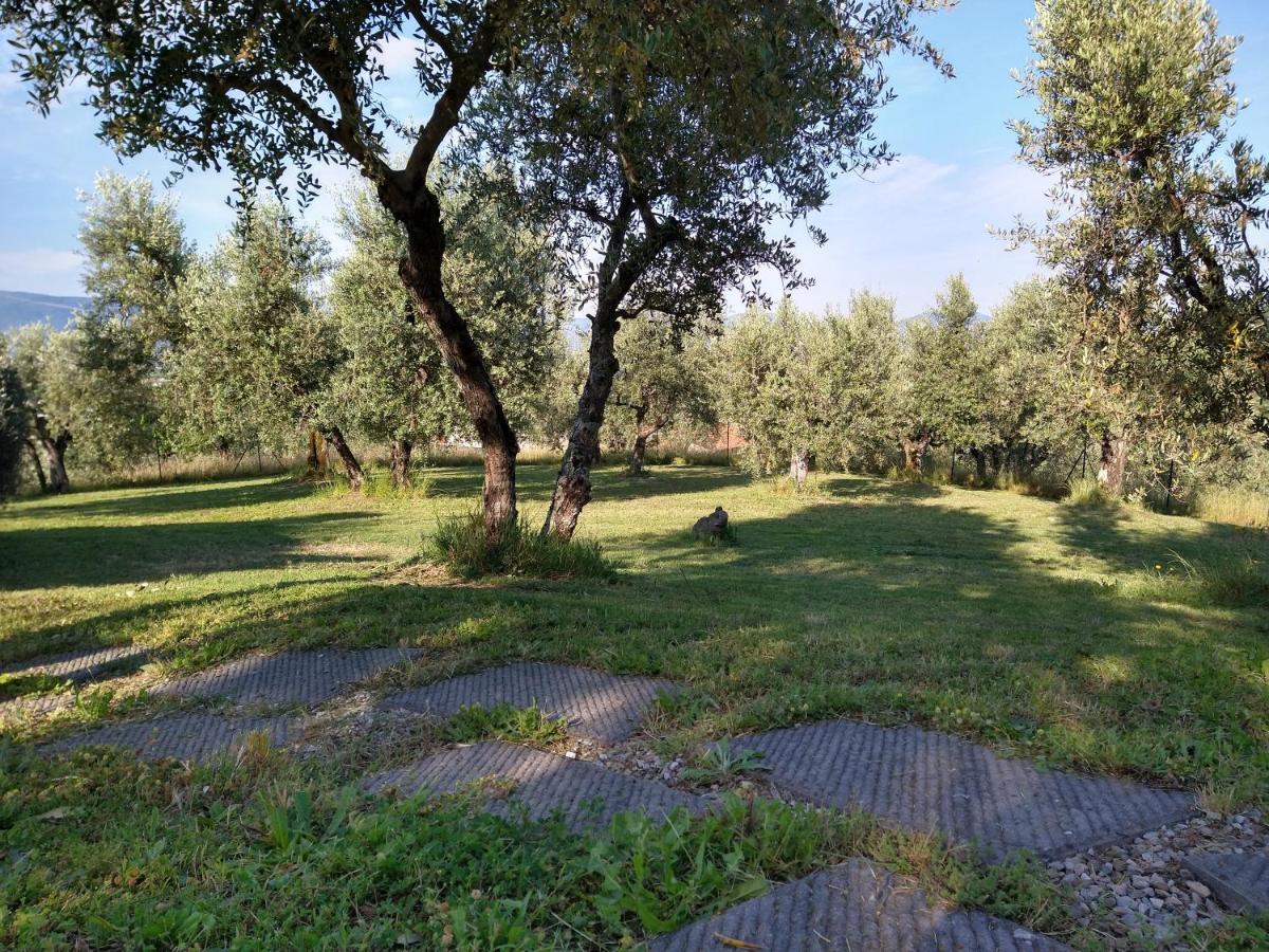 Olivia B&B And Apartment Cantagrillo Bagian luar foto