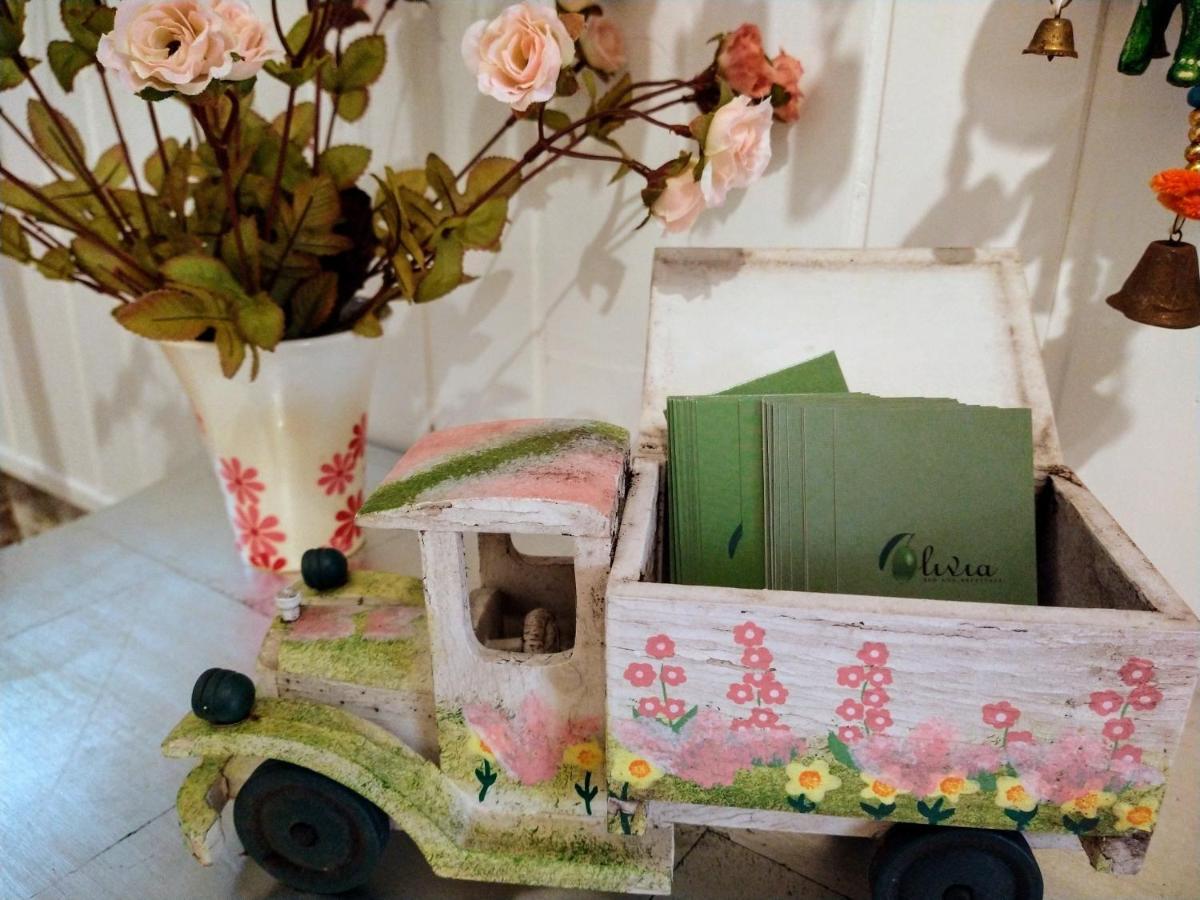 Olivia B&B And Apartment Cantagrillo Bagian luar foto