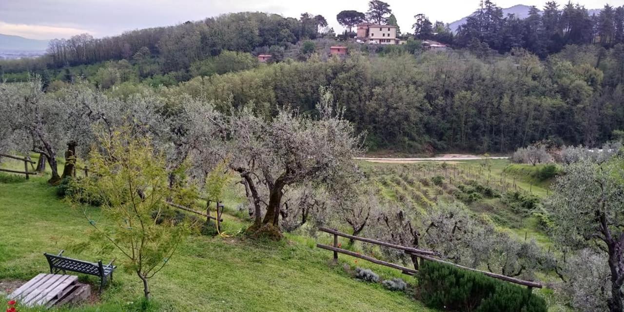 Olivia B&B And Apartment Cantagrillo Bagian luar foto